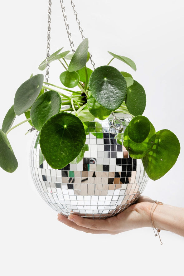 Disco Planter Medium