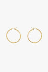 Dazzling Hoop Earrings