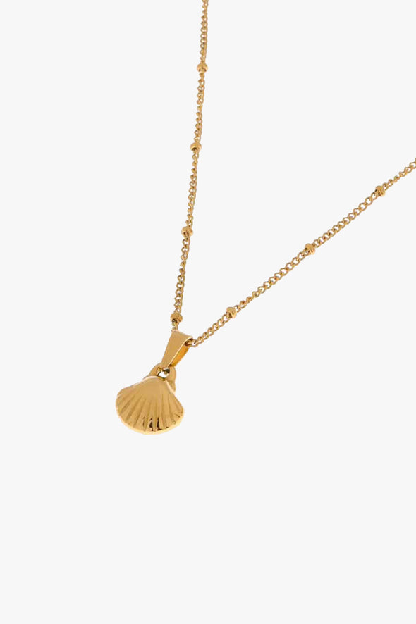 We Shell Sea Necklace