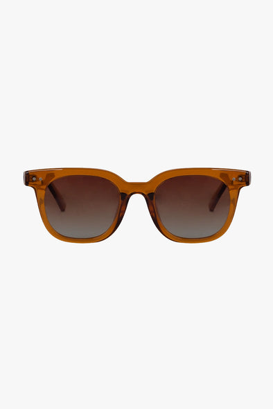 Altea Crystal Brown Sunglasses