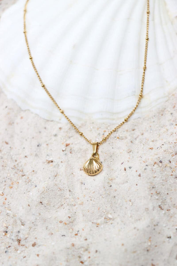 We Shell Sea Necklace