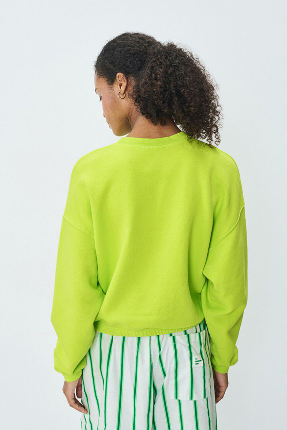 Izubird Sweater Citrus