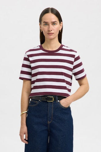 Essential SS Boxy Tee Fig Stripe