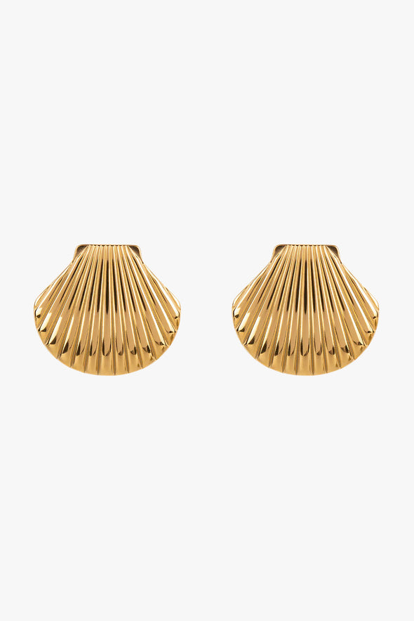Sea Shell Studs