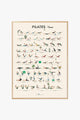 Pilates Poster